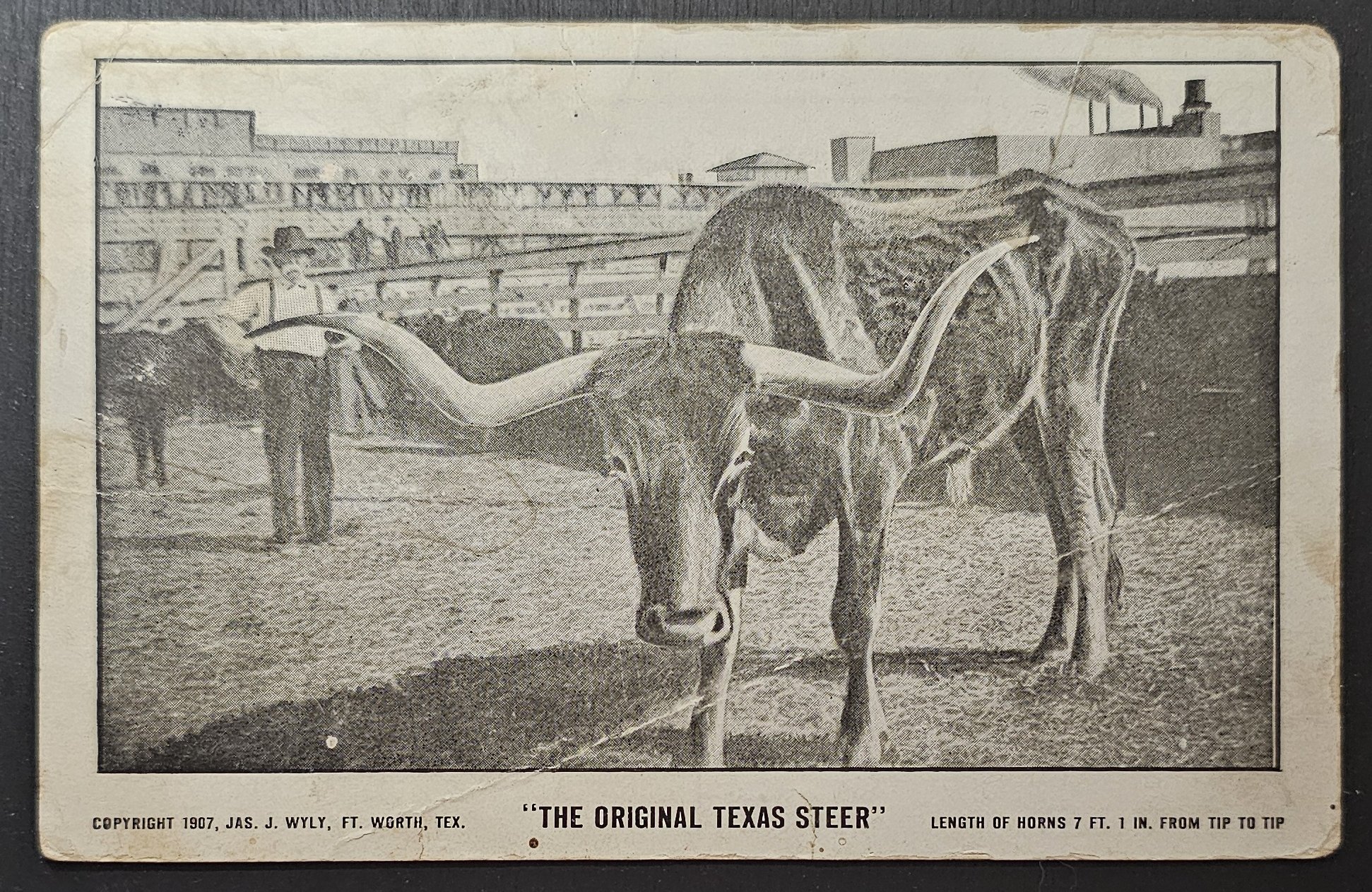 (image for) postcard USA - TX - Texas #0005